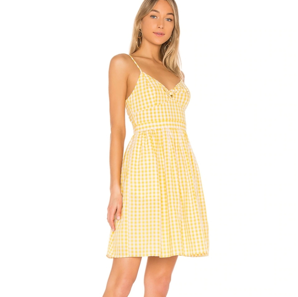 NWT Shirred Slip Dress in Dandelion